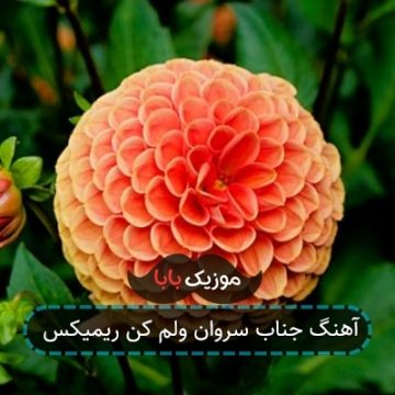 آهنگ جناب سروان ولم کن ریمیکس