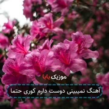 آهنگ نمیبینی دوست دارم کوری حتما آهنگ نمیبینی دوست دارم کوری حتما