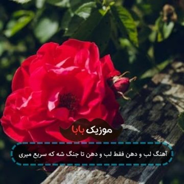 آهنگ لب و دهن فقط لب و دهن تا جنگ شه که سریع میری