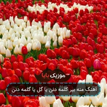 آهنگ منه بیر کلمه دنن یا گل یا گلمه دنن