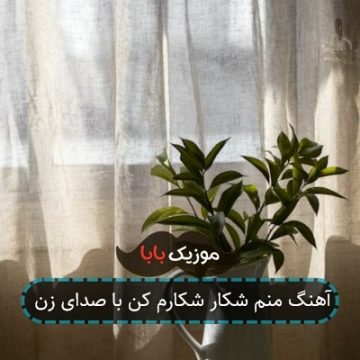 آهنگ منم شکار شکارم کن با صدای زن آهنگ منم شکار شکارم کن با صدای زن