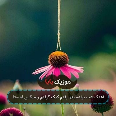 آهنگ شب تولدم تنها رفتم کیک گرفتم ریمیکس اینستا