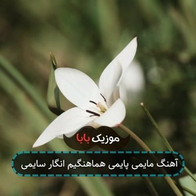 آهنگ مایمی پایمی هماهنگیم انگار سایمی