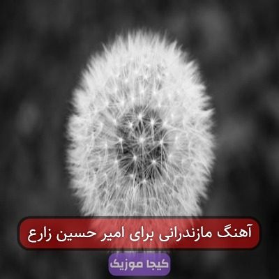 آهنگ مازندرانی برای امیر حسین زارع آهنگ مازندرانی برای امیر حسین زارع