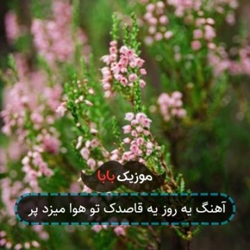 آهنگ یه روز یه قاصدک تو هوا میزد پر آهنگ یه روز یه قاصدک تو هوا میزد پر