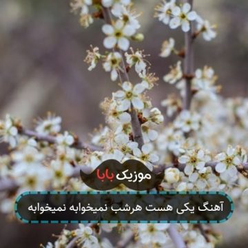 آهنگ یکی هست هرشب نمیخوابه نمیخوابه آهنگ یکی هست هرشب نمیخوابه نمیخوابه