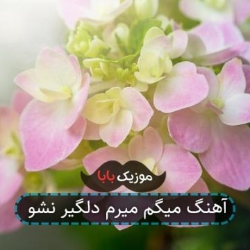 آهنگ میگم میرم دلگیر نشو آهنگ میگم میرم دلگیر نشو