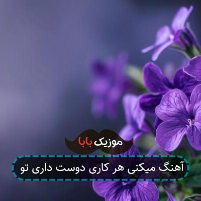 آهنگ میکنی هر کاری دوست داری تو