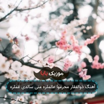 آهنگ ذوالفقار محرموا عالملره منی سالدی غملره