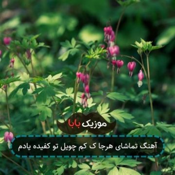 آهنگ تماشای هرجا ک کم چویل تو کفیده یادم