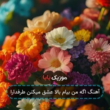 آهنگ اگه من بیام بالا عشق میکنن طرفدارا