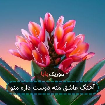 آهنگ عاشق منه دوست داره منو آهنگ عاشق منه دوست داره منو