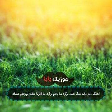 اهنگ دلم برات تنگ شده برگرد بیا پاشو برگرد بیا اخریا بغلت بو رفتن میداد