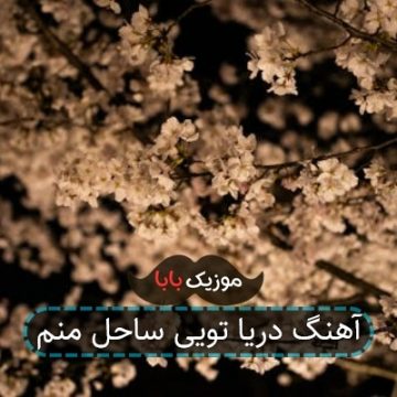 آهنگ دریا تویی ساحل منم