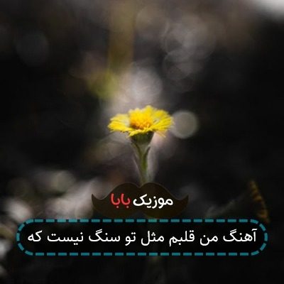 آهنگ من قلبم مثل تو سنگ نیست که آهنگ من قلبم مثل تو سنگ نیست که