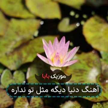 آهنگ دنیا دیگه مثل تو نداره