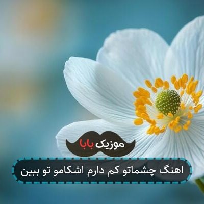 اهنگ چشماتو کم دارم اشکامو تو ببین اهنگ چشماتو کم دارم اشکامو تو ببین