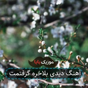 آهنگ دیدی بلاخره گرفتمت
