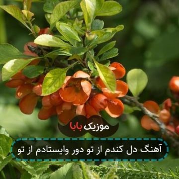 آهنگ دل کندم از تو دور وایستادم از تو
