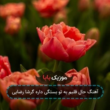 آهنگ حال قلبم به تو بستگی داره گرشا رضایی آهنگ حال قلبم به تو بستگی داره گرشا رضایی