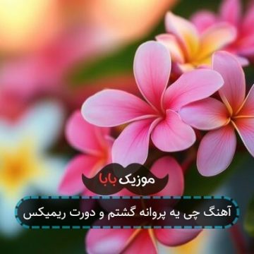 آهنگ چی یه پروانه گشتم و دورت ریمیکس