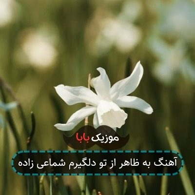 آهنگ به ظاهر از تو دلگیرم شماعی زاده آهنگ به ظاهر از تو دلگیرم شماعی زاده