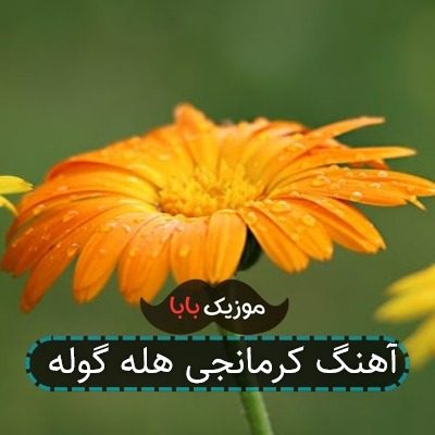 آهنگ کرمانجی هله گوله