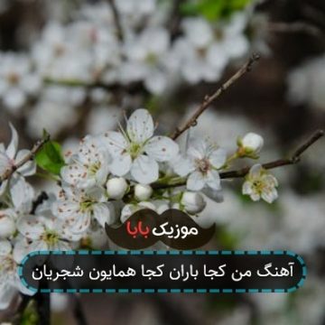 آهنگ من کجا باران کجا همایون شجریان آهنگ من کجا باران کجا همایون شجریان