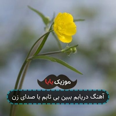 آهنگ دریابم ببین بی تابم با صدای زن