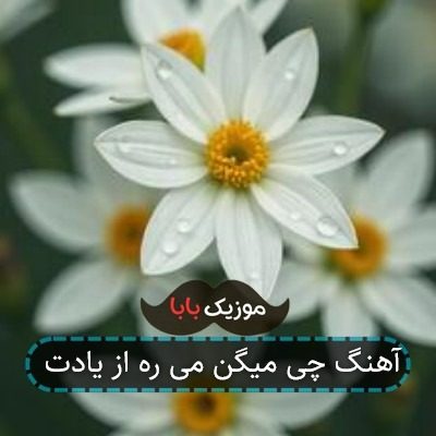 آهنگ چی میگن می ره از یادت آهنگ چی میگن می ره از یادت
