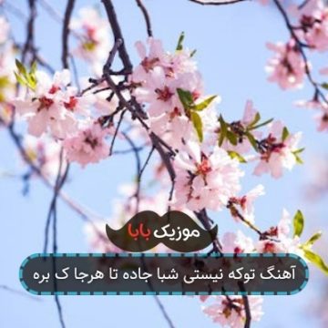 آهنگ توکه نیستی شبا جاده تا هرجا ک بره آهنگ توکه نیستی شبا جاده تا هرجا ک بره