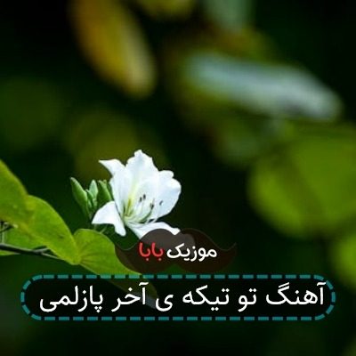 آهنگ تو تیکه ی آخر پازلمی آهنگ تو تیکه ی آخر پازلمی