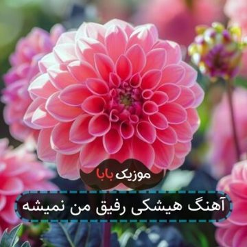 آهنگ هیشکی رفیق من نمیشه آهنگ هیشکی رفیق من نمیشه