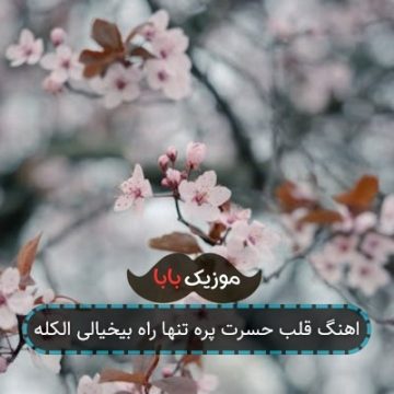 اهنگ قلب حسرت پره تنها راه بیخیالی الکله اهنگ قلب حسرت پره تنها راه بیخیالی الکله