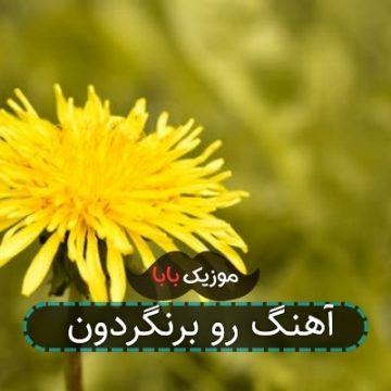آهنگ رو برنگردون