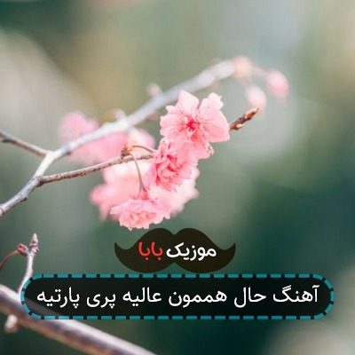آهنگ حال هممون عالیه پری پارتیه آهنگ حال هممون عالیه پری پارتیه