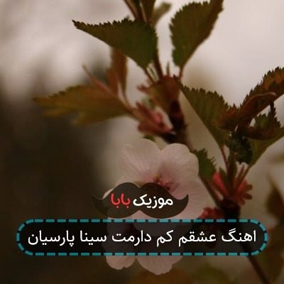 اهنگ عشقم کم دارمت سینا پارسیان