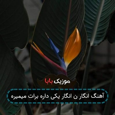 آهنگ انگار ن انگار یکی داره برات میمیره