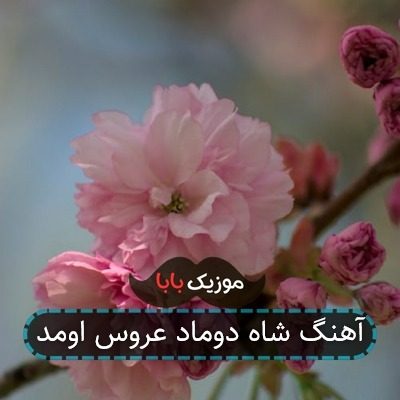 آهنگ شاه دوماد عروس اومد آهنگ شاه دوماد عروس اومد