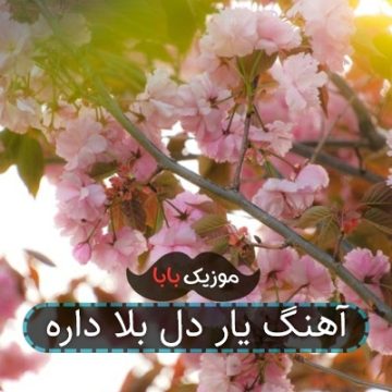 آهنگ یار دل بلا داره